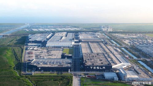 特斯拉逆勢漲價 與行業(yè)降價潮分道揚(yáng)鑣的深層邏輯